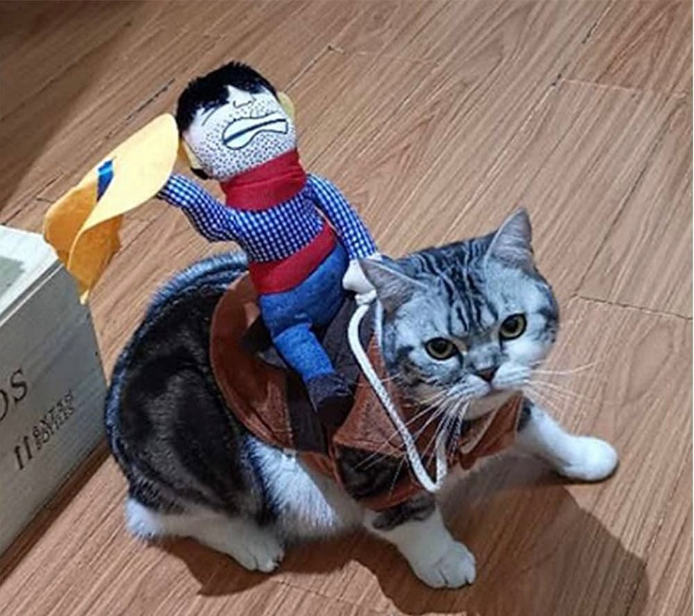 Horse Riding Costume for Dog/Cat