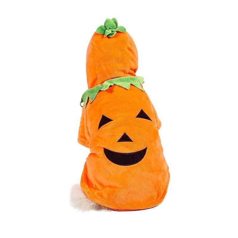Dog/Cat Halloween Pumpkin costume