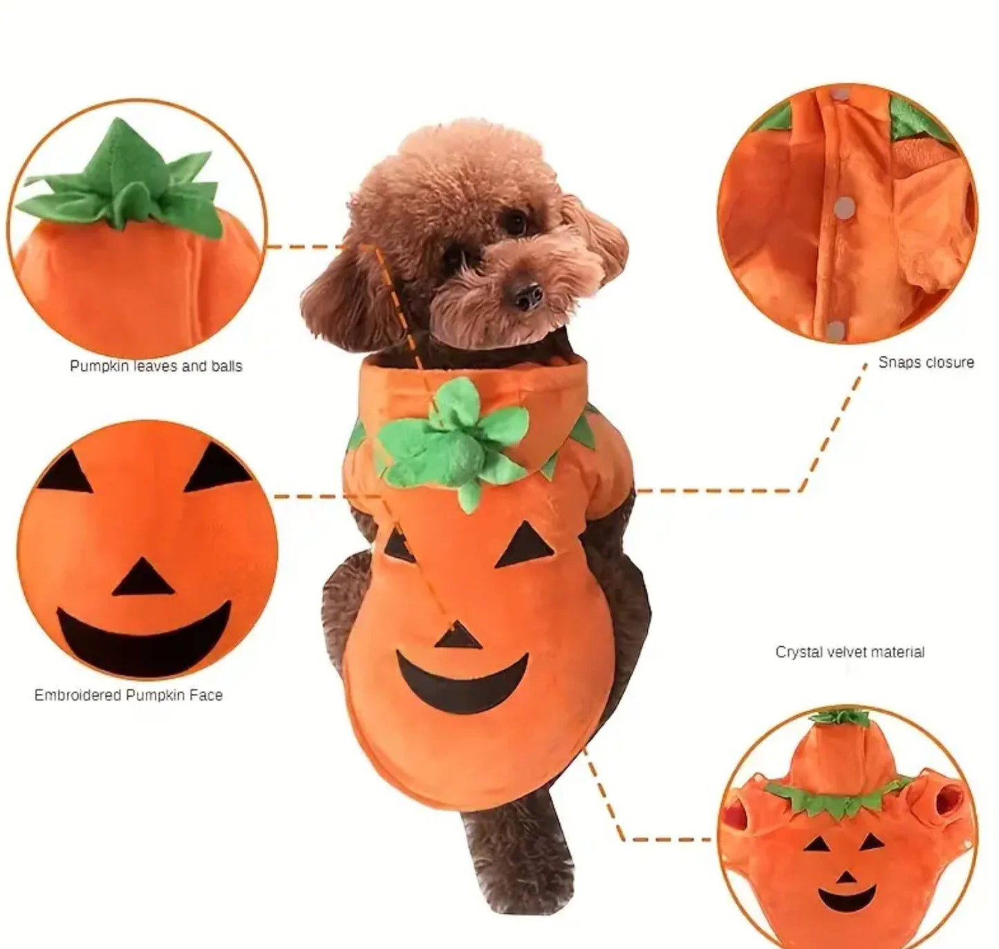 Dog/Cat Halloween Pumpkin costume