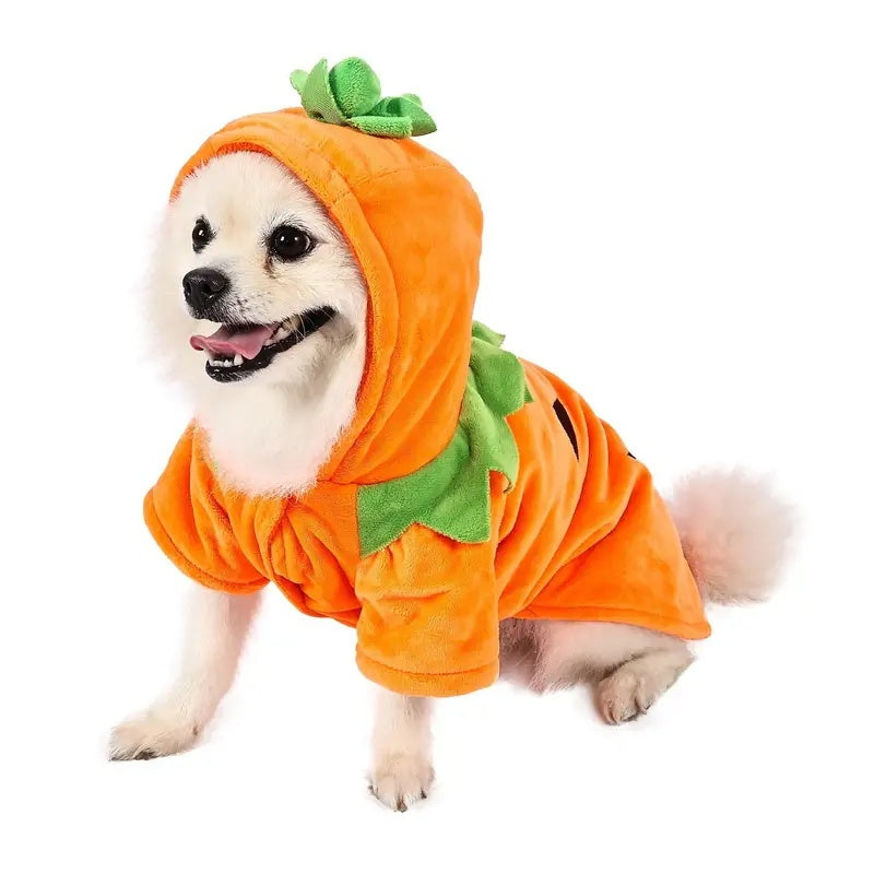 Dog/Cat Halloween Pumpkin costume