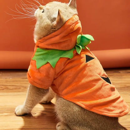 Dog/Cat Halloween Pumpkin costume