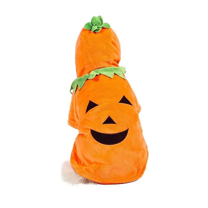 Dog/Cat Halloween Pumpkin costume