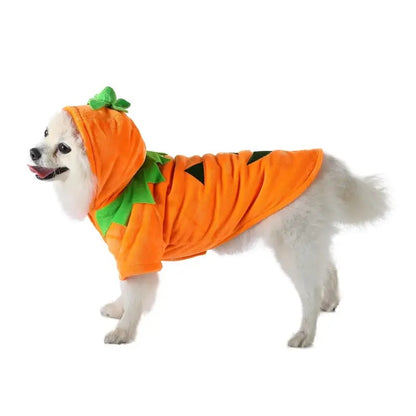 Dog/Cat Halloween Pumpkin costume